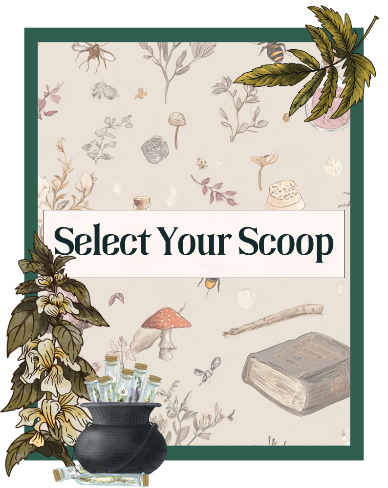 Select Your Scoop