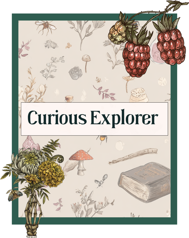 Curious Explorer