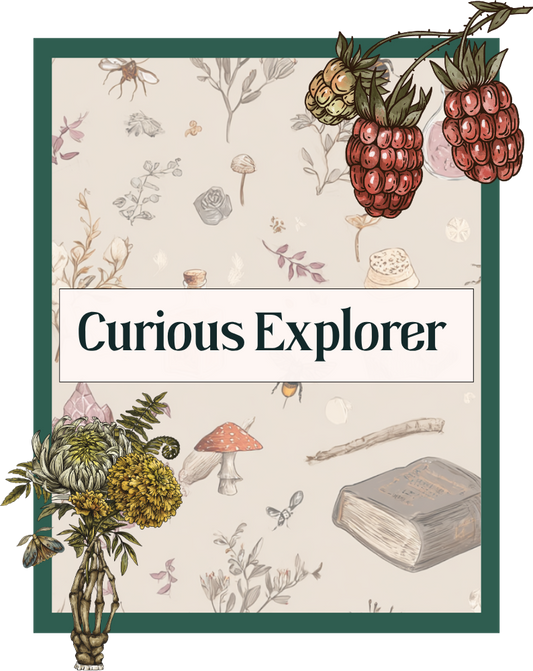 Curious Explorer