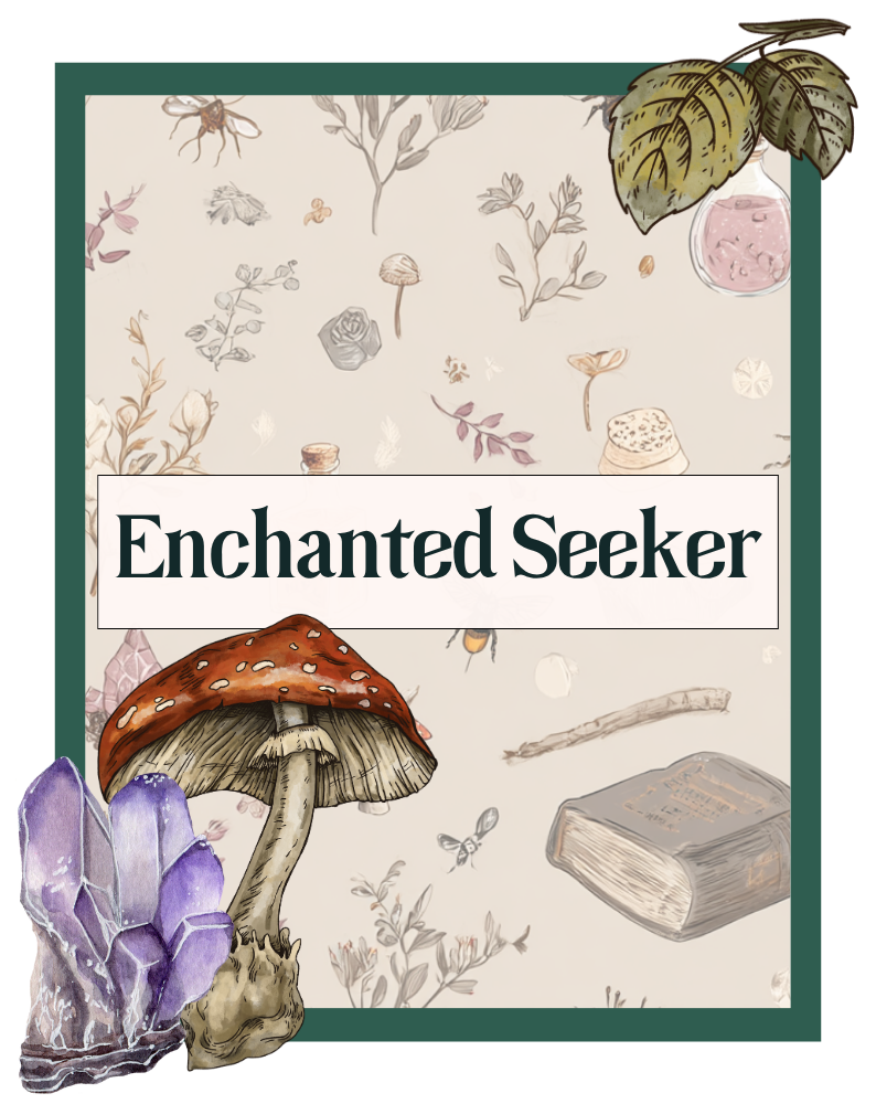 Enchanted Seeker